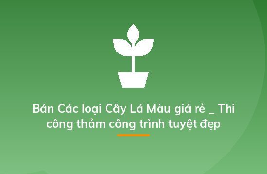 Bán Các loại Cây Lá Màu giá rẻ _ Thi công thảm công trình tuyệt đẹp