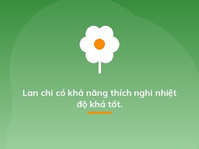 Lan chi có khả năng thích nghi nhiệt độ khá tốt.