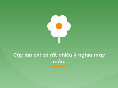 Cây lan chi có rất nhiều ý nghĩa may mắn.
