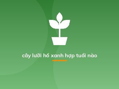 cây lưỡi hổ xanh hợp tuổi nào