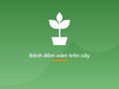 Bệnh đốm xám trên cây