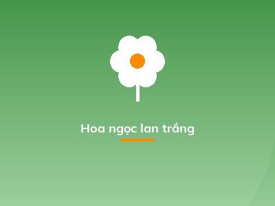 Hoa ngọc lan trắng