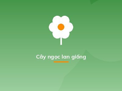 Cây ngọc lan giống