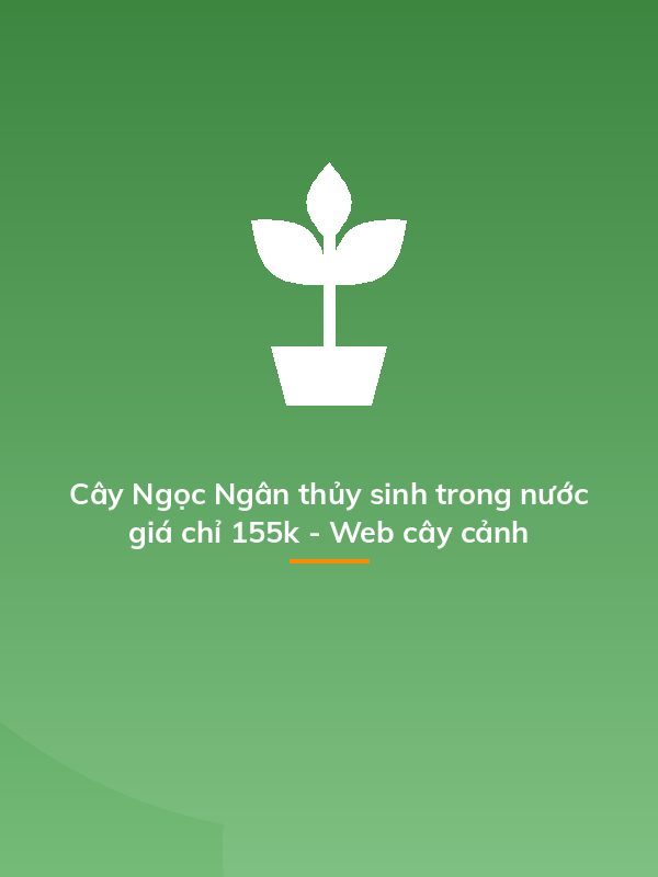 Cây Ngọc Ngân thủy sinh trong nước giá chỉ 155k - Web cây cảnh