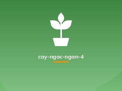 cay-ngoc-ngan-4