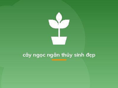 cây ngọc ngân thủy sinh đẹp