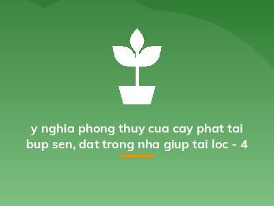 y nghia phong thuy cua cay phat tai bup sen, dat trong nha giup tai loc - 4