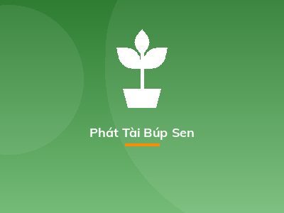 Phát Tài Búp Sen