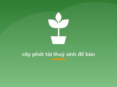 cây phát tài thuỷ sinh để bàn