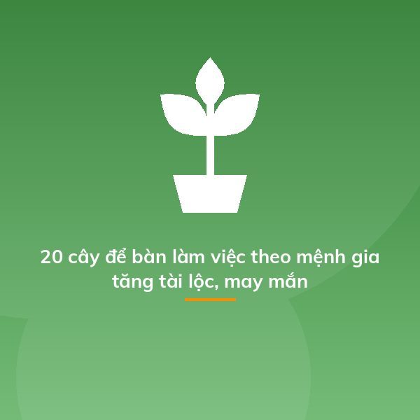 20 cây để bàn làm việc theo mệnh gia tăng tài lộc, may mắn
