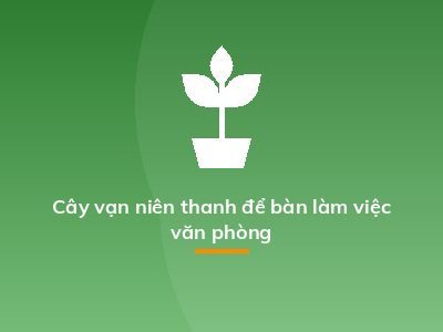 Cây vạn niên thanh để bàn làm việc văn phòng