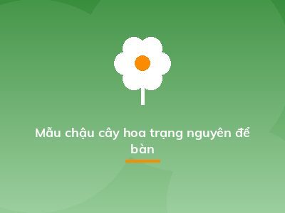 Mẫu chậu cây hoa trạng nguyên để bàn