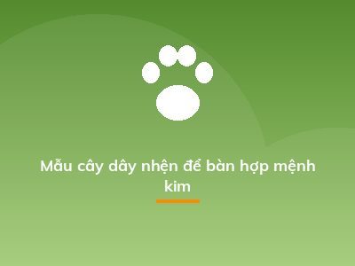 Mẫu cây dây nhện để bàn hợp mệnh kim