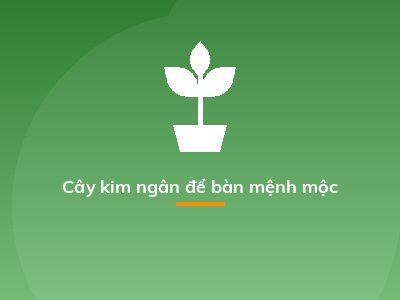 Cây kim ngân để bàn mệnh mộc