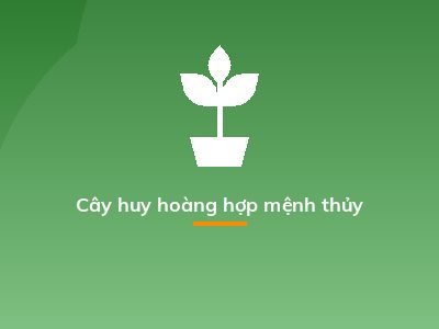 Cây huy hoàng hợp mệnh thủy