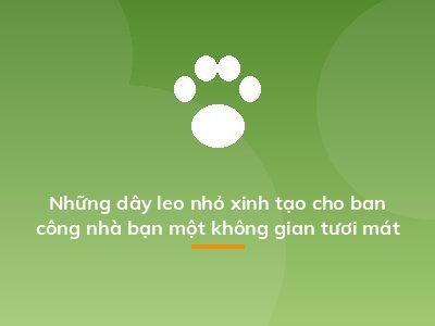 Những dây leo nhỏ xinh tạo cho ban công nhà bạn một không gian tươi mát
