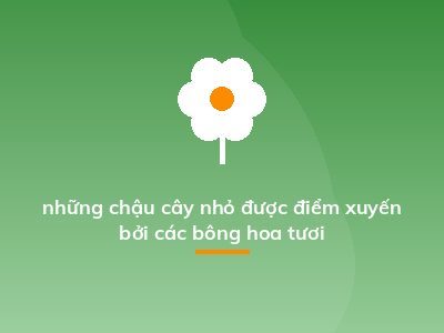 những chậu cây nhỏ được điểm xuyến bởi các bông hoa tươi