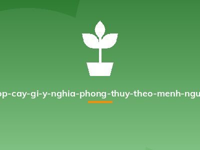tuoi-ty-hop-cay-gi-y-nghia-phong-thuy-theo-menh-nguoi-tuoi-ty