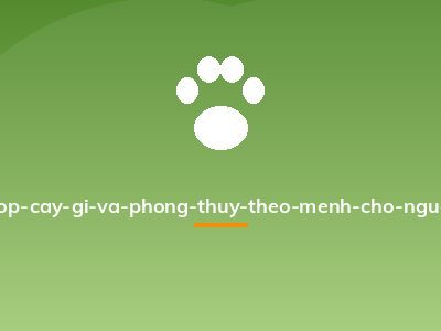 tuoi-ty-hop-cay-gi-va-phong-thuy-theo-menh-cho-nguoi-tuoi-ty