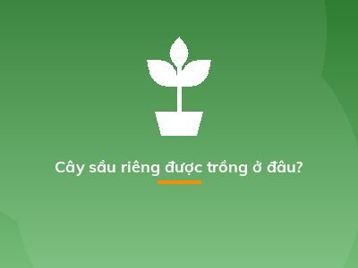 Cây sầu riêng được trồng ở đâu?