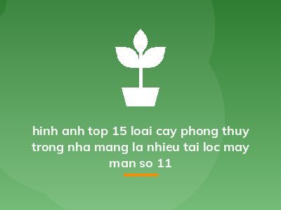 hinh anh top 15 loai cay phong thuy trong nha mang la nhieu tai loc may man so 11