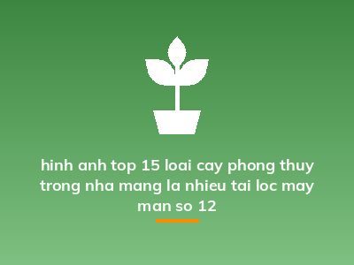 hinh anh top 15 loai cay phong thuy trong nha mang la nhieu tai loc may man so 12