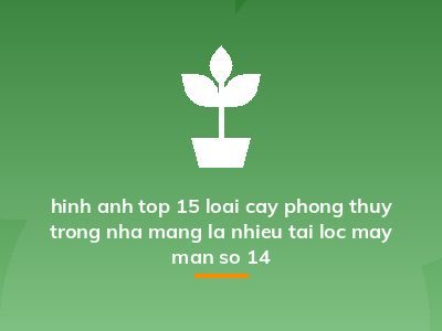 hinh anh top 15 loai cay phong thuy trong nha mang la nhieu tai loc may man so 14