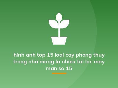 hinh anh top 15 loai cay phong thuy trong nha mang la nhieu tai loc may man so 15
