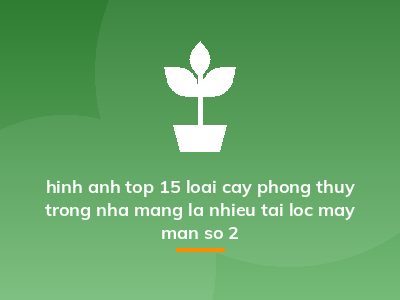 hinh anh top 15 loai cay phong thuy trong nha mang la nhieu tai loc may man so 2