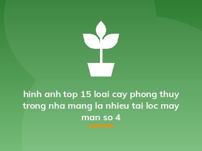 hinh anh top 15 loai cay phong thuy trong nha mang la nhieu tai loc may man so 4
