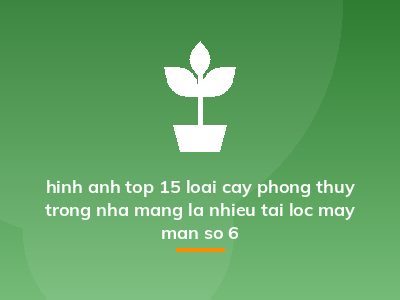 hinh anh top 15 loai cay phong thuy trong nha mang la nhieu tai loc may man so 6