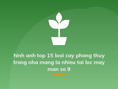 hinh anh top 15 loai cay phong thuy trong nha mang la nhieu tai loc may man so 9