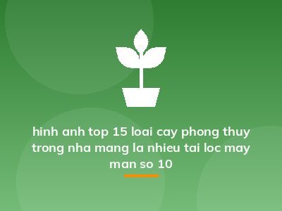hinh anh top 15 loai cay phong thuy trong nha mang la nhieu tai loc may man so 10