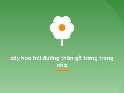 cây hoa hải đường thân gỗ trồng trong nhà