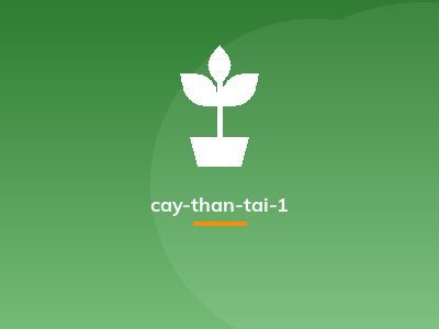 cay-than-tai-1