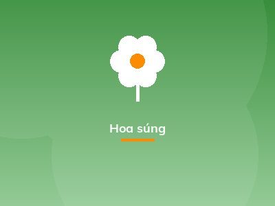 Hoa súng