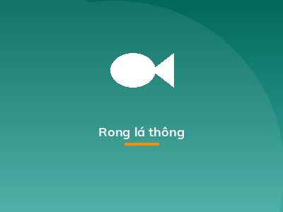 Rong lá thông
