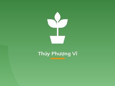 Thủy Phượng Vĩ