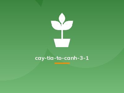 cay-tia-to-canh-3-1
