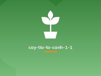 cay-tia-to-canh-1-1