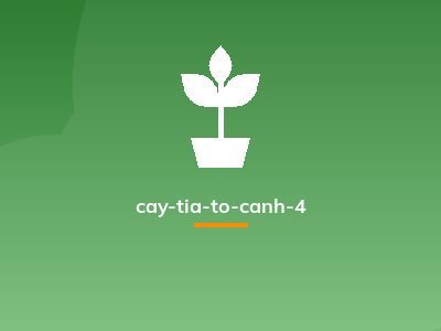 cay-tia-to-canh-4