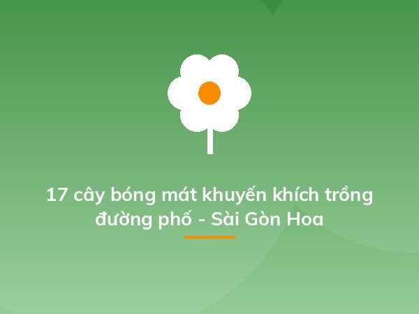 17 cây bóng mát khuyến khích trồng đường phố - Sài Gòn Hoa