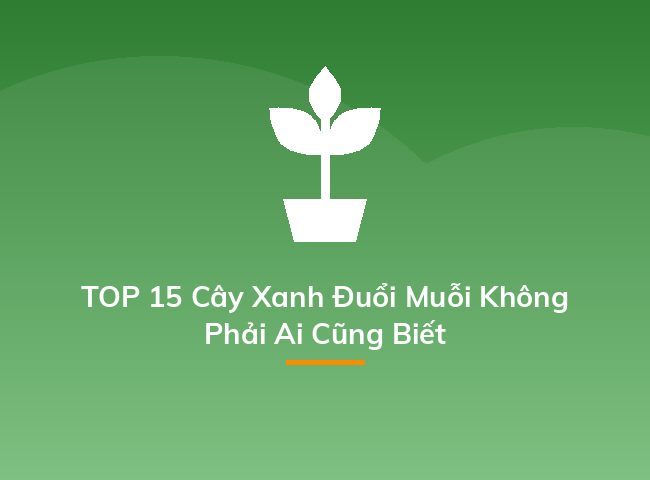 TOP 15 Cây Xanh Đuổi Muỗi Không Phải Ai Cũng Biết