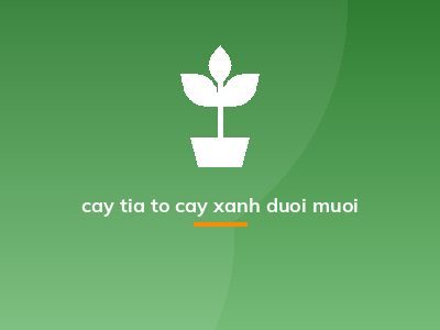 cay tia to cay xanh duoi muoi