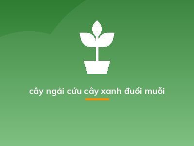 cây ngải cứu cây xanh đuổi muỗi