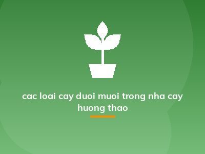 cac loai cay duoi muoi trong nha cay huong thao