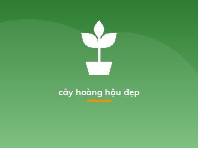 cây hoàng hậu đẹp