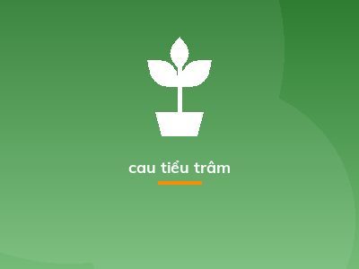 cau tiểu trâm