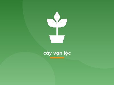 cây vạn lộc