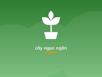 cây ngọc ngân